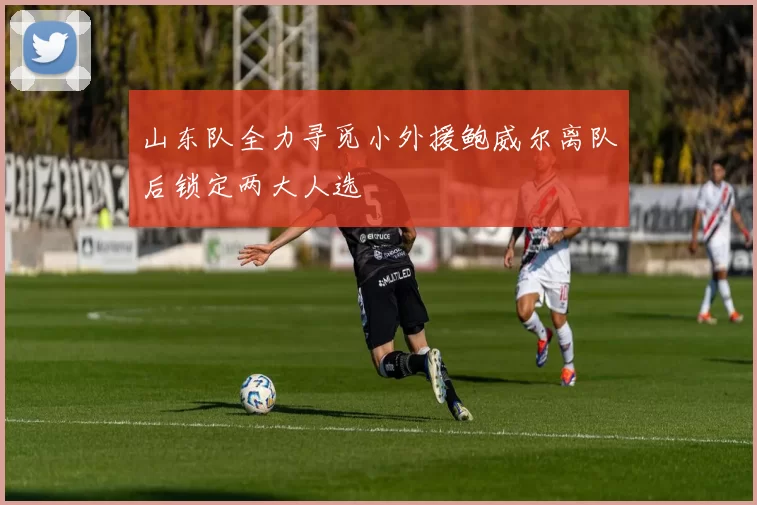 山东队全力寻觅小外援鲍威尔离队后锁定两大人选