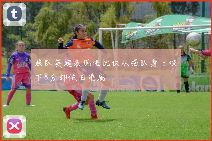 狼队英超表现堪忧仅从强队身上咬下8分却依旧垫底