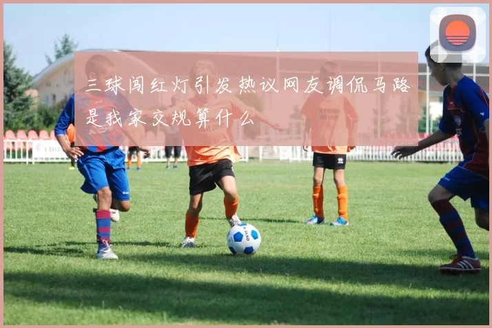 三球闯红灯引发热议网友调侃马路是我家交规算什么